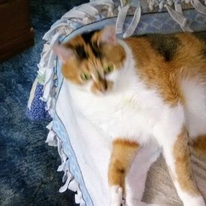 Meet your Posher, Janice